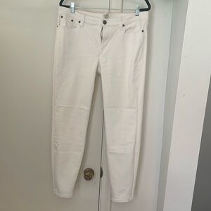 J Crew | Stretch Pants